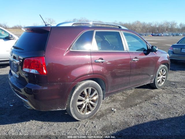 Photo 3 VIN: 5XYKWDA22BG162661 - KIA SORENTO 