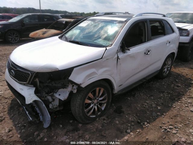 Photo 1 VIN: 5XYKWDA22DG341186 - KIA SORENTO 