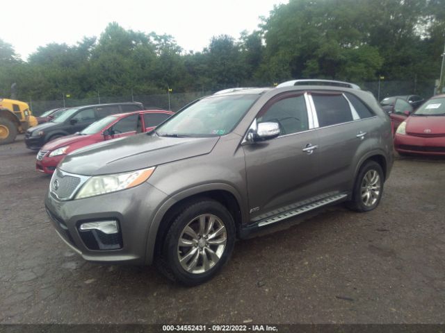 Photo 1 VIN: 5XYKWDA22DG347764 - KIA SORENTO 