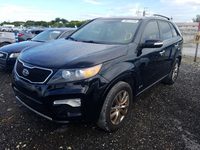 Photo 1 VIN: 5XYKWDA23BG092930 - KIA SORENTO SX 