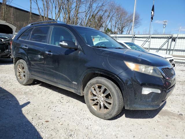 Photo 3 VIN: 5XYKWDA23BG117163 - KIA SORENTO 