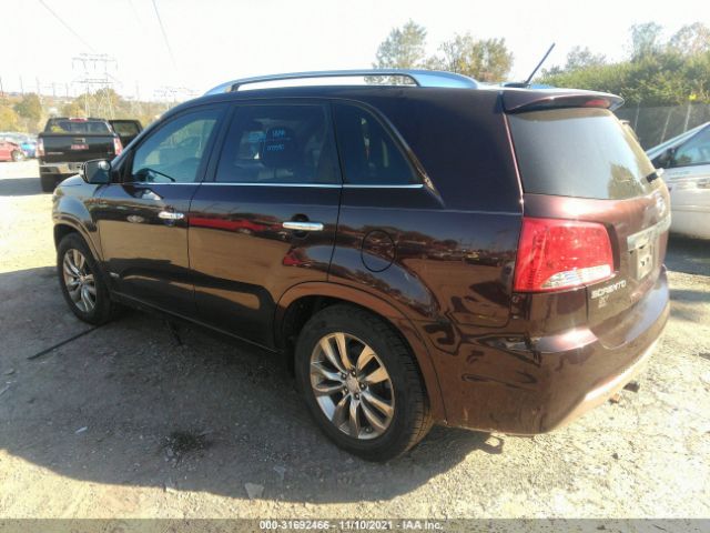 Photo 2 VIN: 5XYKWDA23BG117860 - KIA SORENTO 