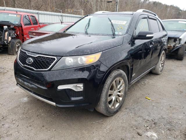 Photo 1 VIN: 5XYKWDA23BG160854 - KIA SORENTO SX 