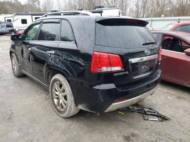 Photo 2 VIN: 5XYKWDA23BG160854 - KIA SORENTO SX 