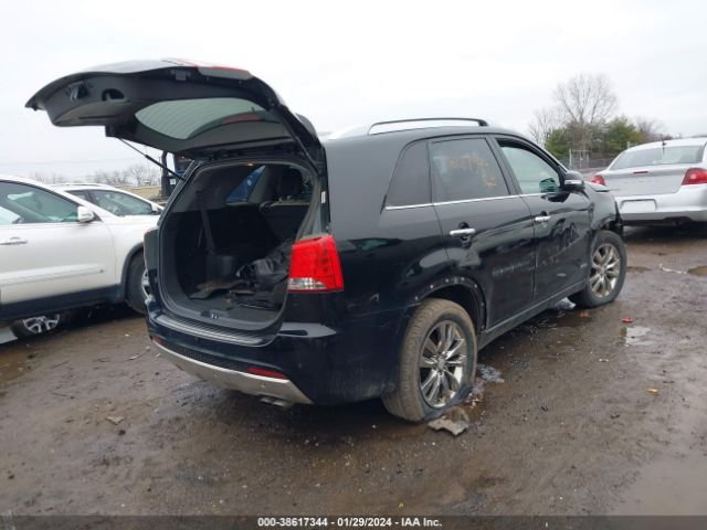 Photo 3 VIN: 5XYKWDA24DG346941 - KIA SORENTO 