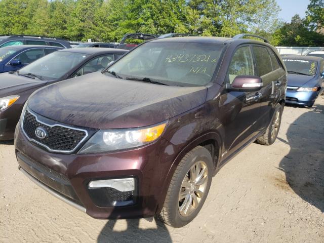 Photo 1 VIN: 5XYKWDA24DG355896 - KIA SORENTO SX 