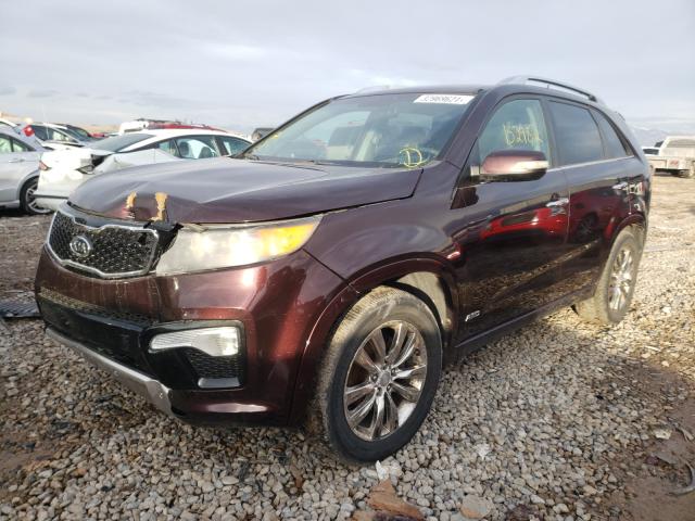 Photo 1 VIN: 5XYKWDA25BG108223 - KIA SORENTO SX 