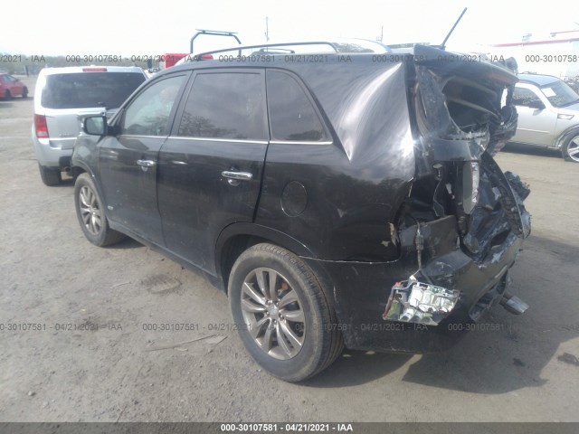 Photo 2 VIN: 5XYKWDA25BG143490 - KIA SORENTO 