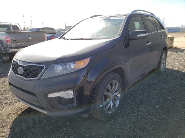 Photo 1 VIN: 5XYKWDA25DG317299 - KIA SORENTO SX 