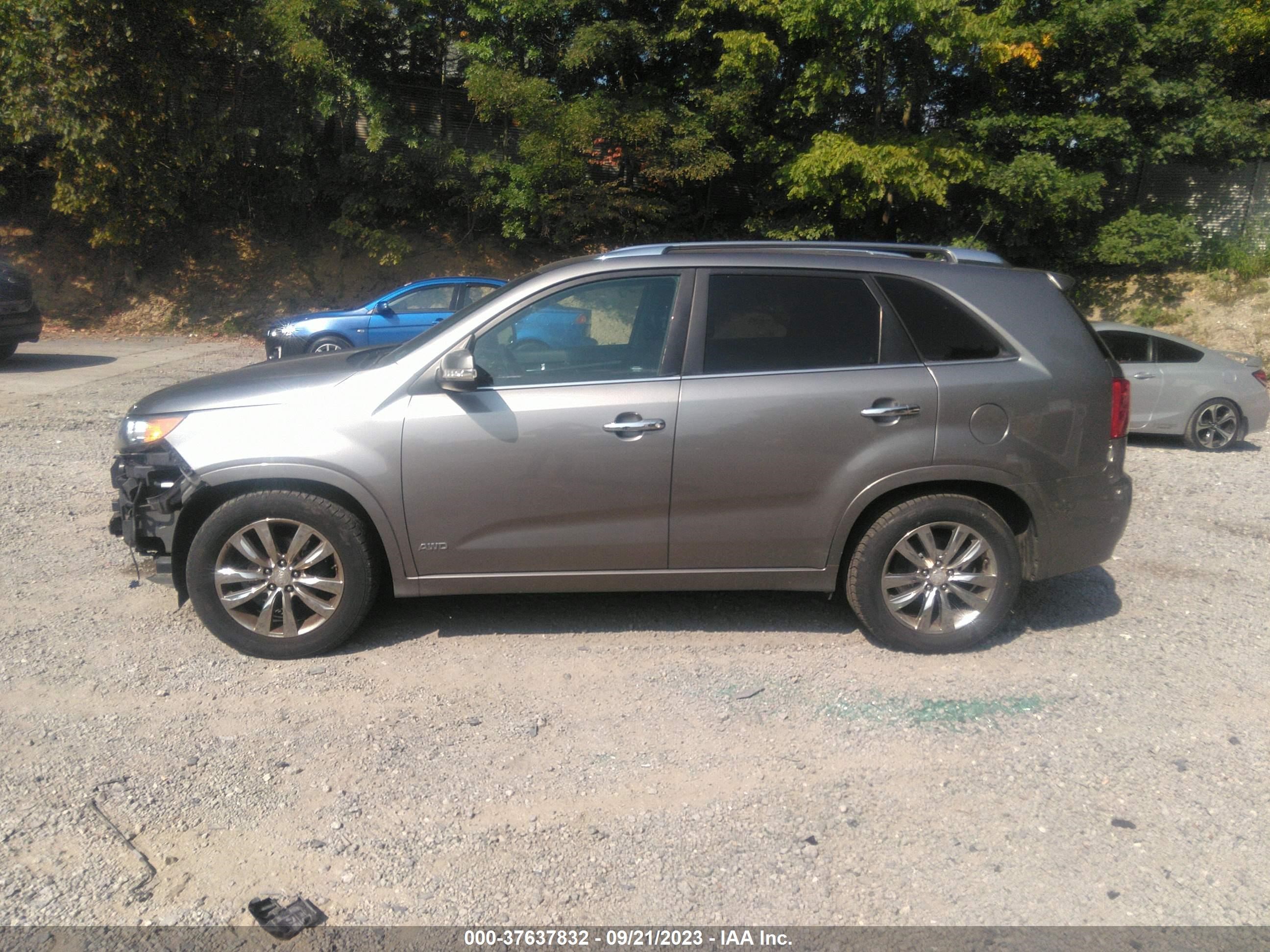 Photo 13 VIN: 5XYKWDA26CG256057 - KIA SORENTO 