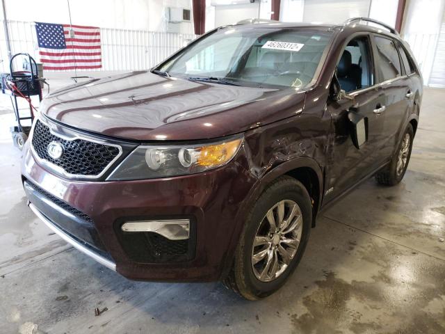 Photo 1 VIN: 5XYKWDA26CG304608 - KIA SORENTO SX 