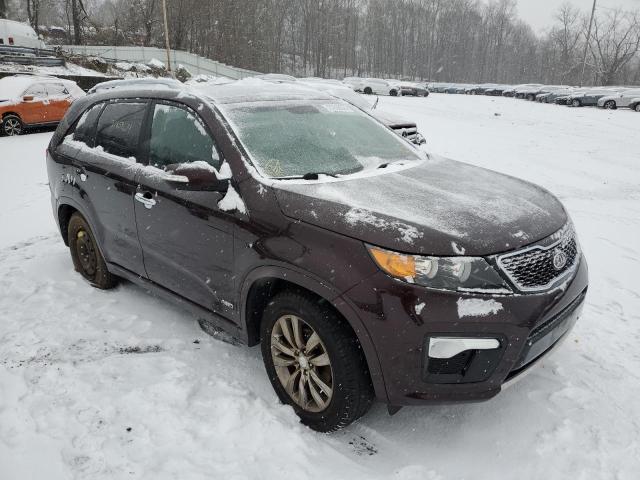 Photo 3 VIN: 5XYKWDA27BG120566 - KIA SORENTO 