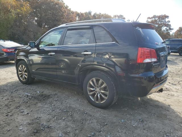 Photo 1 VIN: 5XYKWDA27BG120714 - KIA SORENTO 