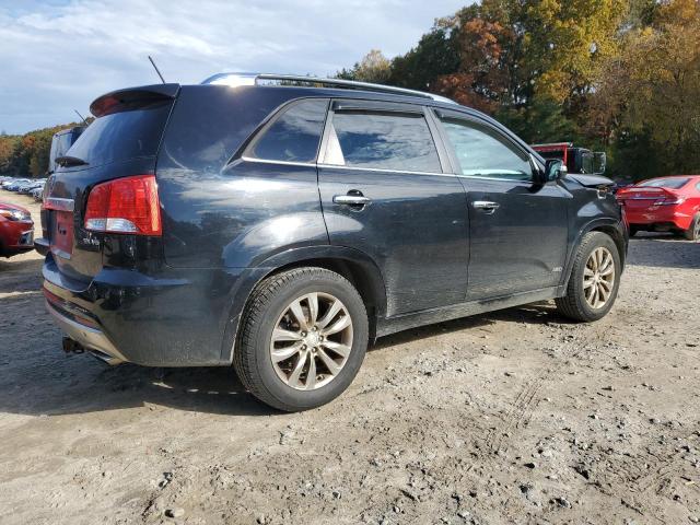 Photo 2 VIN: 5XYKWDA27BG120714 - KIA SORENTO 