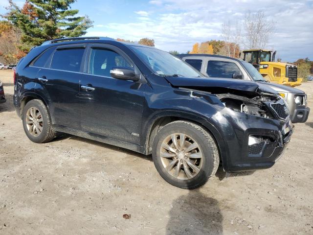 Photo 3 VIN: 5XYKWDA27BG120714 - KIA SORENTO 