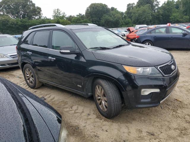 Photo 3 VIN: 5XYKWDA27DG383238 - KIA SORENTO 