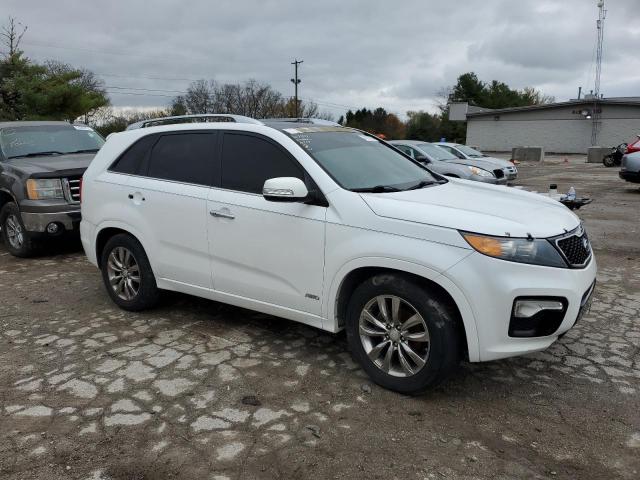 Photo 3 VIN: 5XYKWDA27DG407991 - KIA SORENTO 