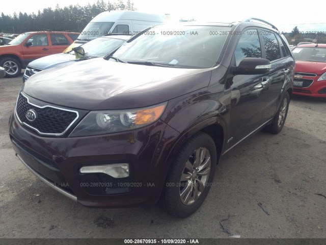 Photo 1 VIN: 5XYKWDA28BG120415 - KIA SORENTO 