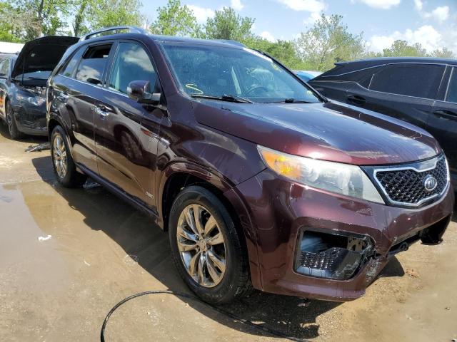 Photo 3 VIN: 5XYKWDA28BG142205 - KIA SORENTO 