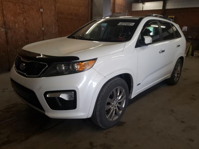 Photo 1 VIN: 5XYKWDA28BG147632 - KIA SORENTO SX 