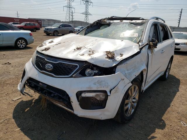 Photo 1 VIN: 5XYKWDA28BG162633 - KIA SORENTO SX 