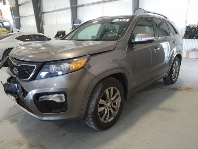 Photo 1 VIN: 5XYKWDA28DG366464 - KIA SORENTO SX 