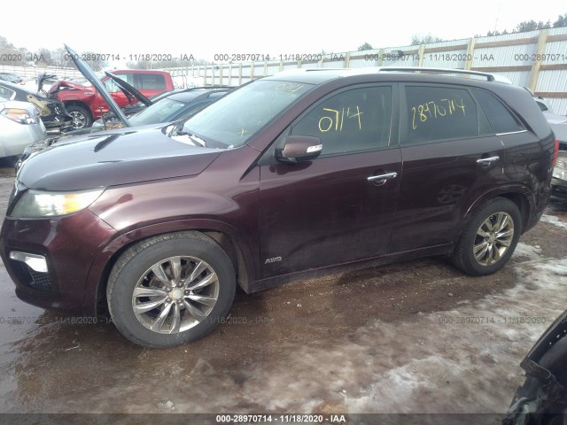 Photo 1 VIN: 5XYKWDA29BG099090 - KIA SORENTO 