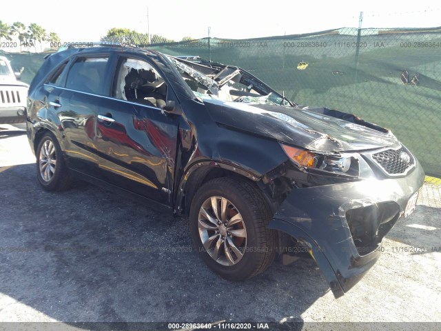 Photo 0 VIN: 5XYKWDA29BG161782 - KIA SORENTO 