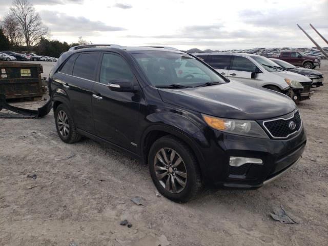 Photo 3 VIN: 5XYKWDA29DG318441 - KIA SORENTO SX 