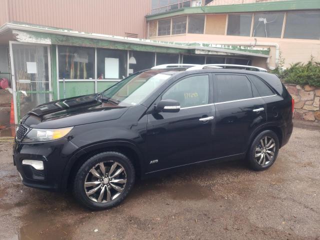 Photo 1 VIN: 5XYKWDA29DG323591 - KIA SORENTO SX 