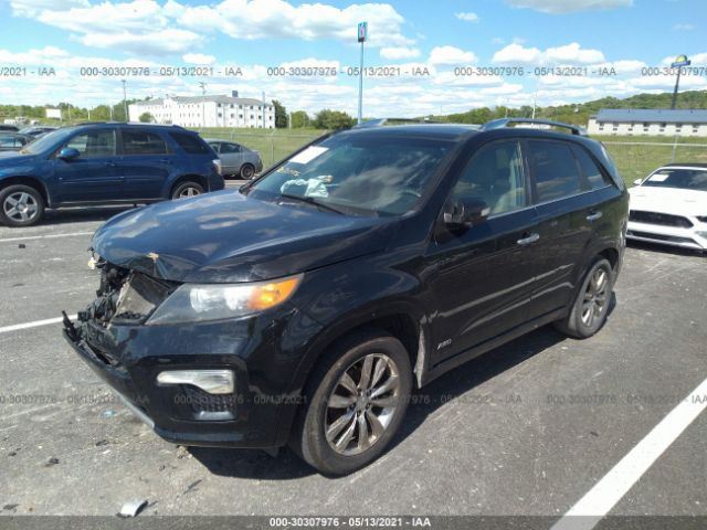 Photo 1 VIN: 5XYKWDA2XBG091077 - KIA SORENTO 