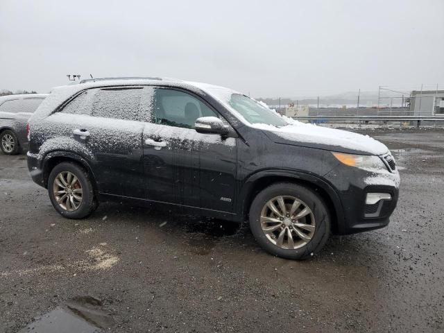 Photo 3 VIN: 5XYKWDA2XBG120027 - KIA SORENTO SX 