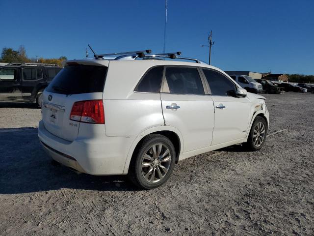 Photo 2 VIN: 5XYKWDA2XBG135224 - KIA SORENTO SX 