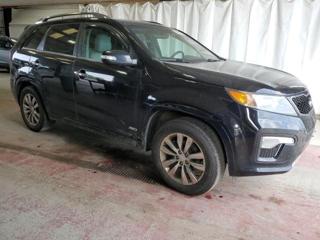 Photo 3 VIN: 5XYKWDA2XBG175609 - KIA SORENTO SX 