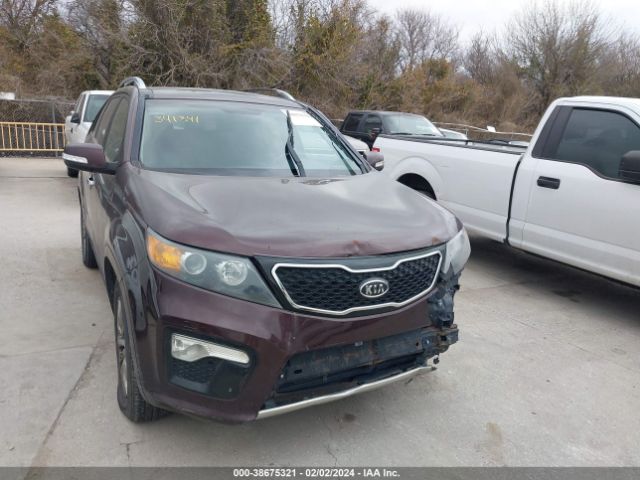 Photo 0 VIN: 5XYKWDA2XDG341341 - KIA SORENTO 