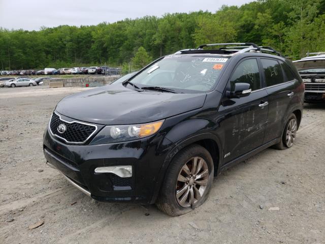 Photo 1 VIN: 5XYKWDA2XDG412442 - KIA SORENTO SX 