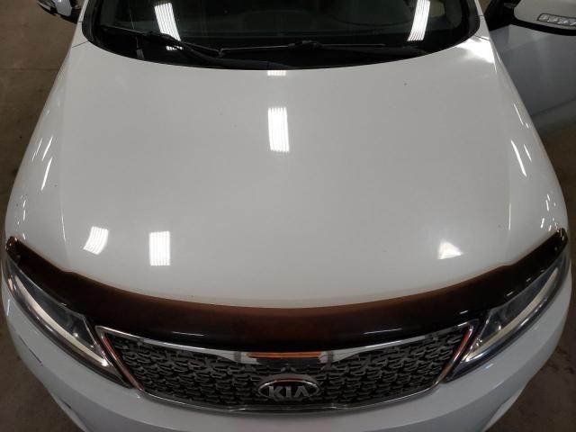 Photo 11 VIN: 5XYKWDA70FG551574 - KIA SORENTO 