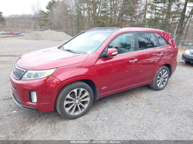 Photo 1 VIN: 5XYKWDA70FG624569 - KIA SORENTO 