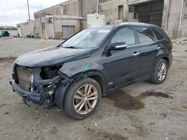 Photo 0 VIN: 5XYKWDA72EG446677 - KIA SORENTO 