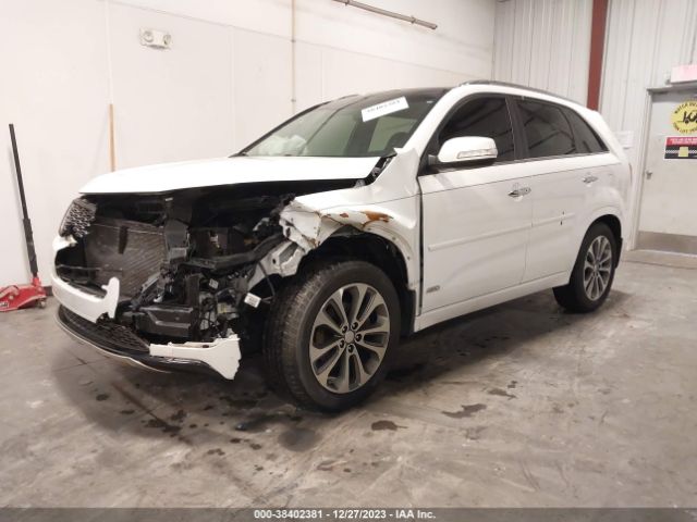 Photo 1 VIN: 5XYKWDA72FG561328 - KIA SORENTO 