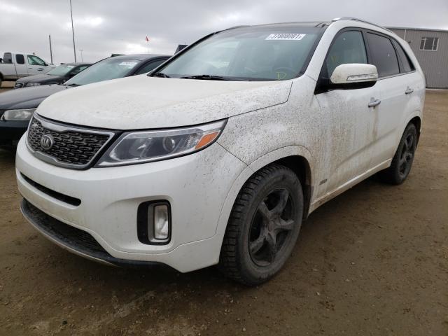 Photo 1 VIN: 5XYKWDA73EG505171 - KIA SORENTO SX 