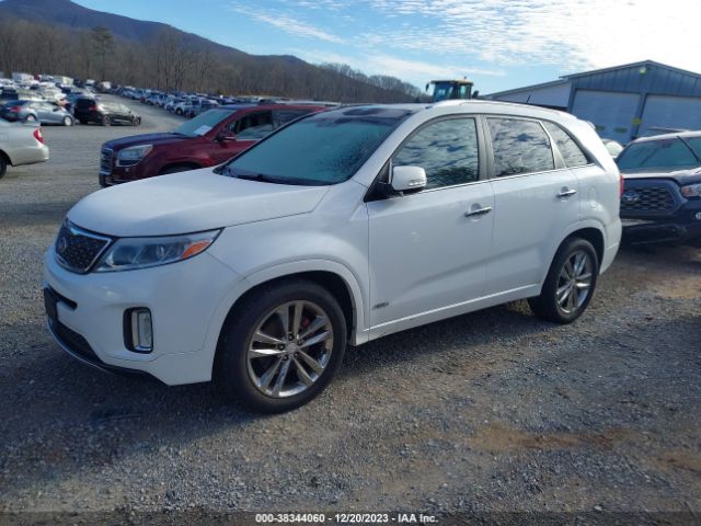 Photo 1 VIN: 5XYKWDA76EG469590 - KIA SORENTO 