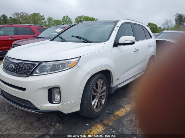 Photo 1 VIN: 5XYKWDA78EG504775 - KIA SORENTO 