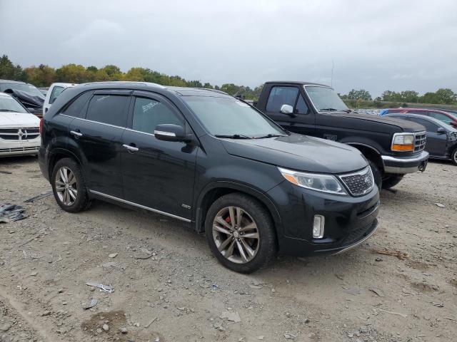 Photo 3 VIN: 5XYKWDA79EG498307 - KIA SORENTO SX 