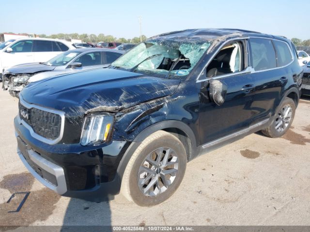 Photo 5 VIN: 5XYP24GC4PG374731 - KIA TELLURIDE 