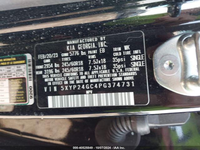 Photo 8 VIN: 5XYP24GC4PG374731 - KIA TELLURIDE 