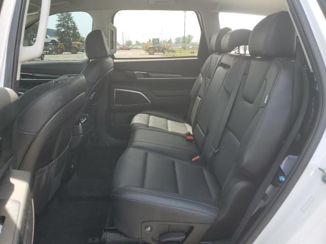 Photo 10 VIN: 5XYP24GC4RG482365 - KIA TELLURIDE 