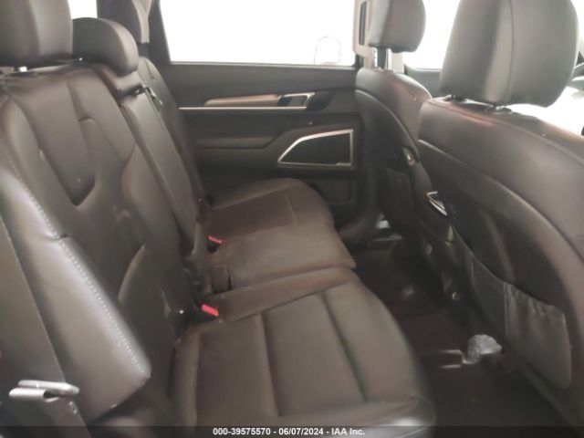 Photo 7 VIN: 5XYP2DHC1LG048295 - KIA TELLURIDE 