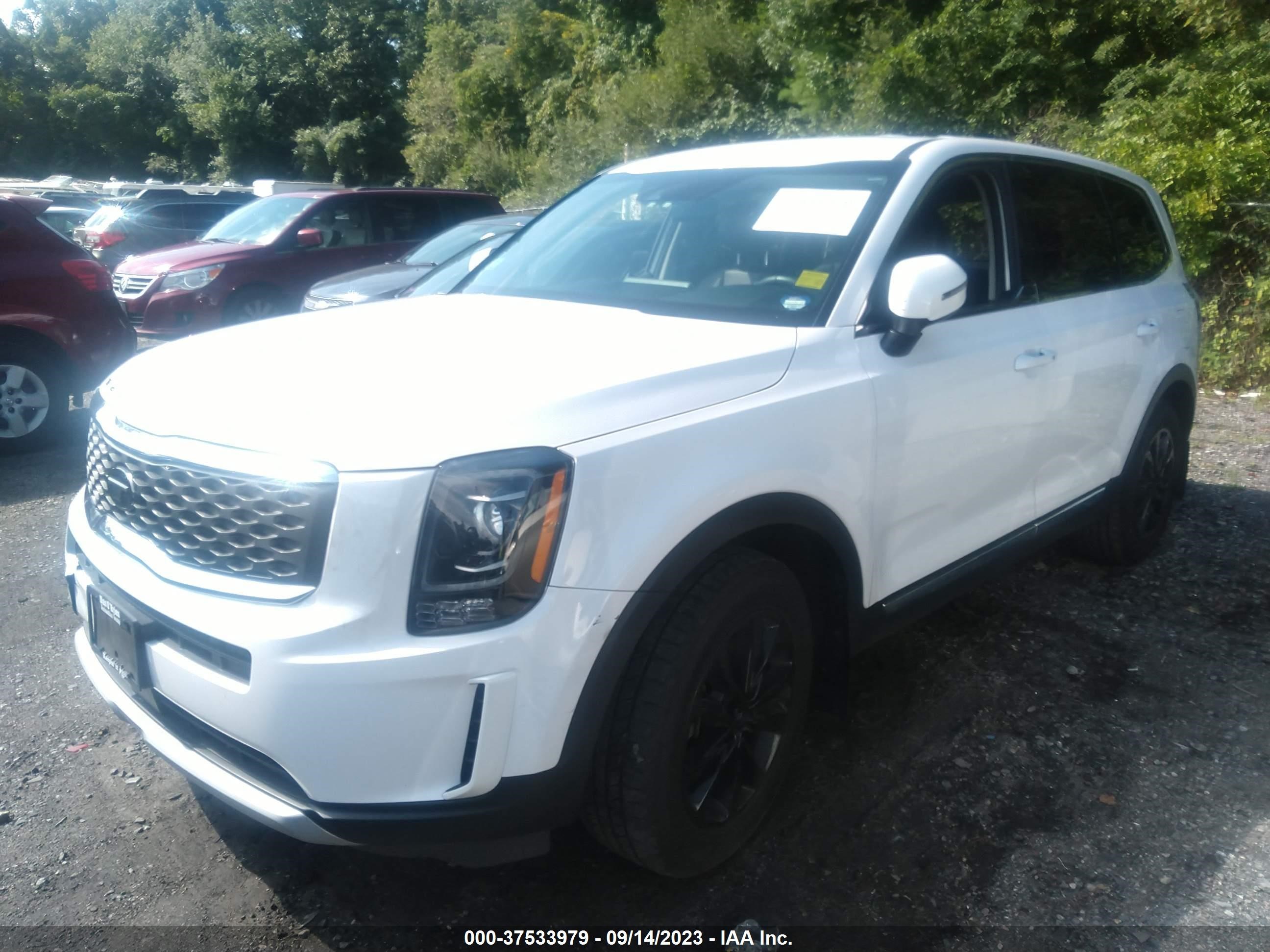 Photo 1 VIN: 5XYP2DHC2MG120641 - KIA TELLURIDE 