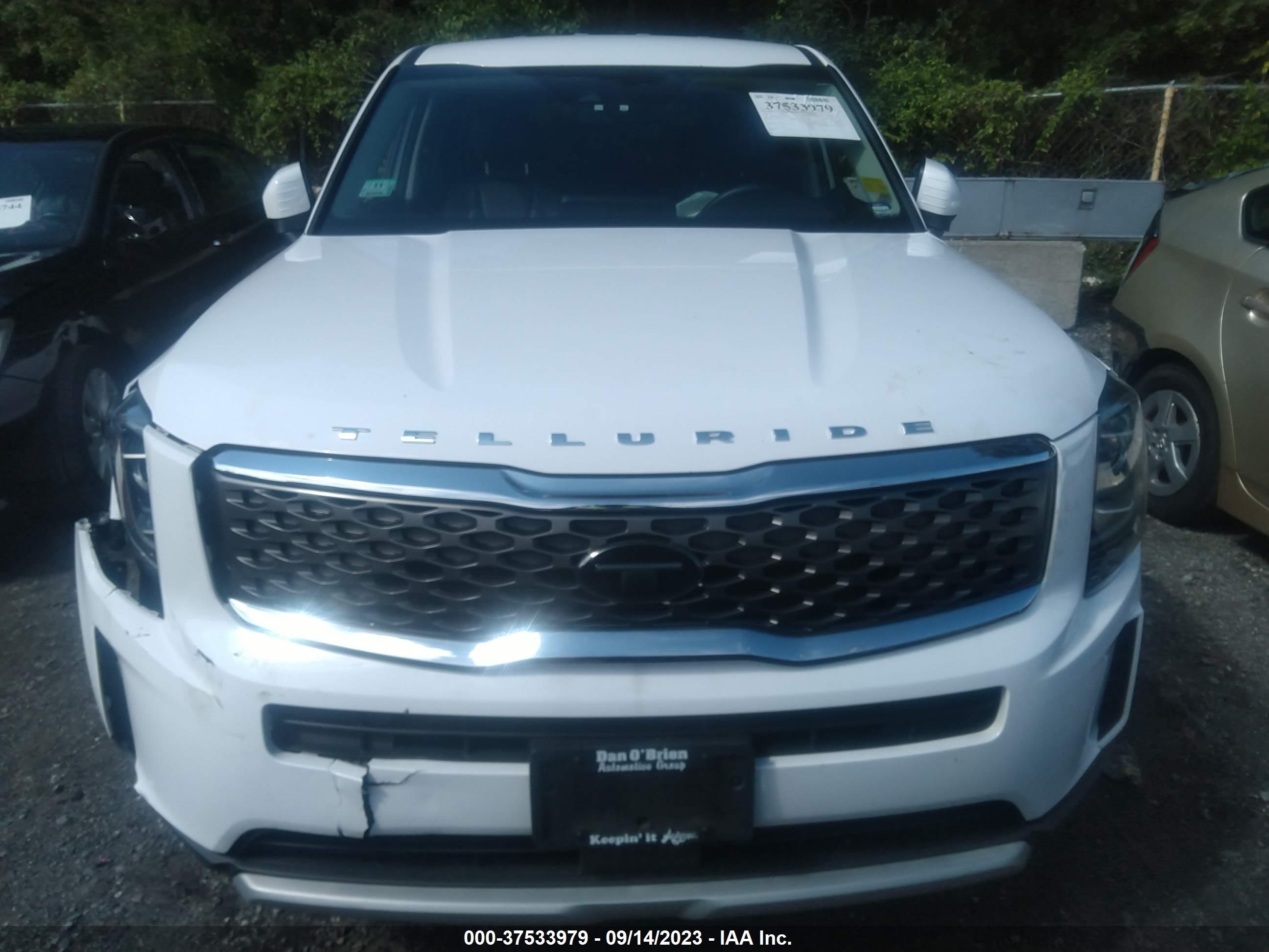 Photo 11 VIN: 5XYP2DHC2MG120641 - KIA TELLURIDE 